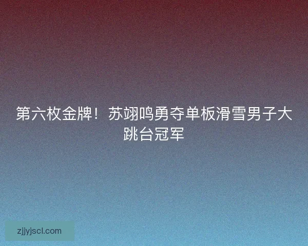 第六枚金牌！苏翊鸣勇夺单板滑雪男子大跳台冠军